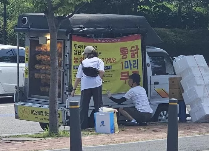 인사이트