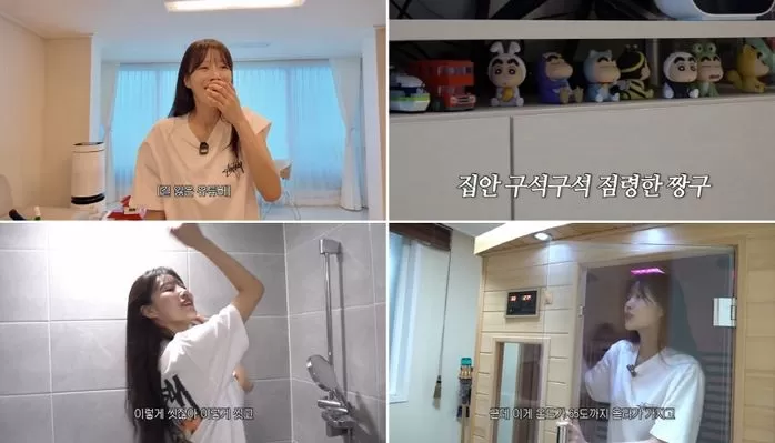 인사이트