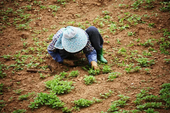 기사의 이해를 돕기 위한 자료 사진 / gettyimagesBank