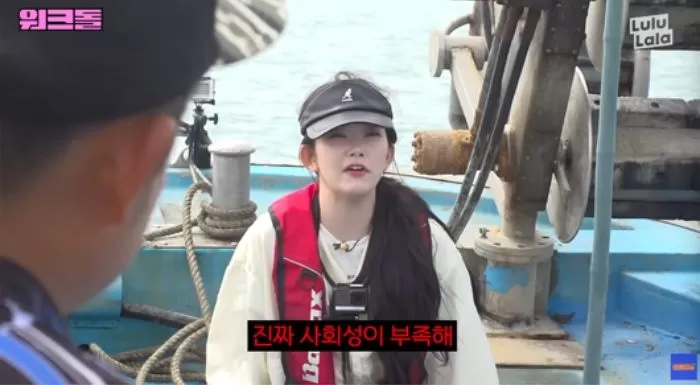 인사이트