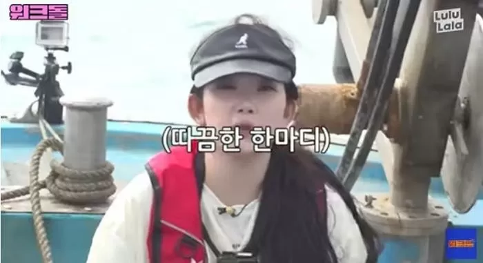 인사이트