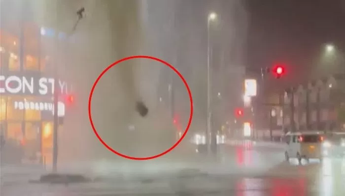 인사이트