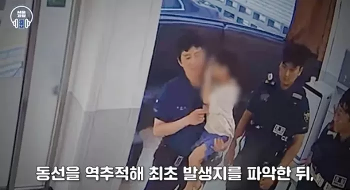 인사이트