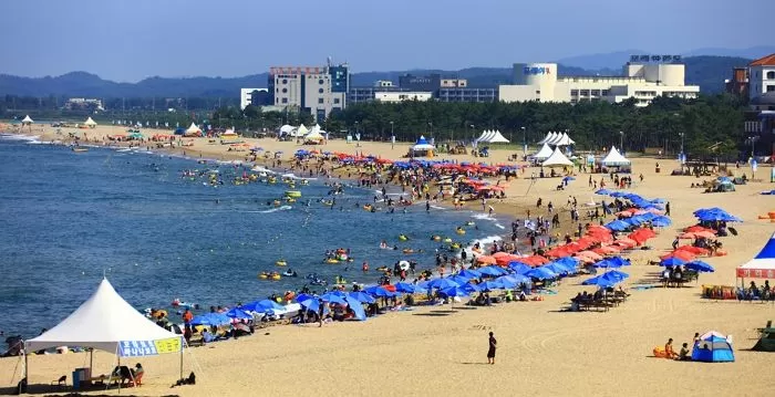 기사와 관련 없는 자료 사진. / 사진 제공 = 양양군