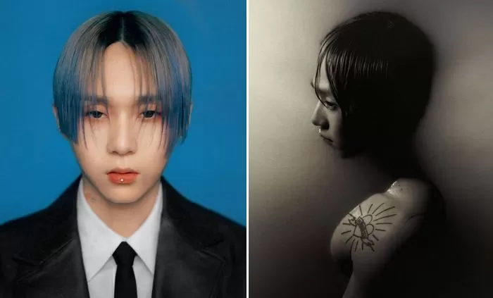 인사이트