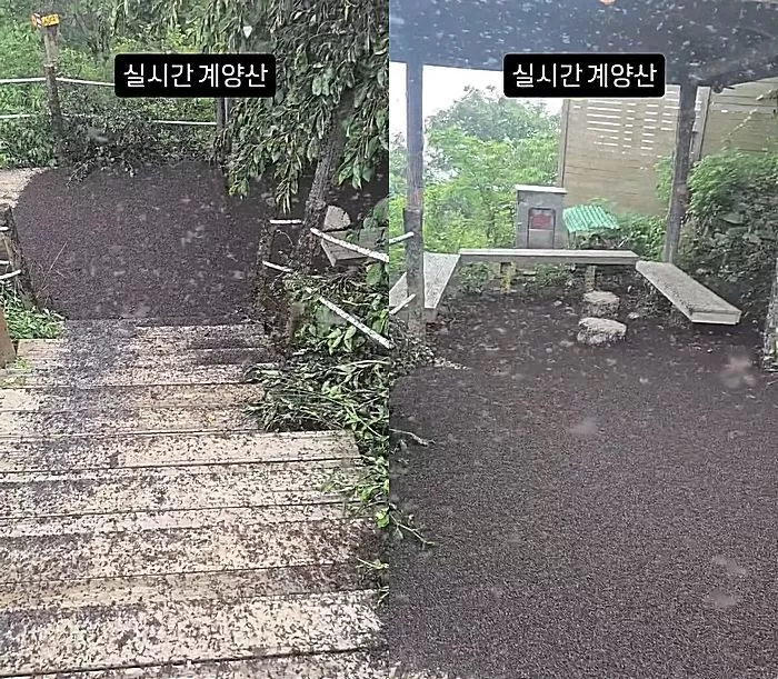 지난달 28일 한 누리꾼이 SNS에 공개한 계양산 실시간 상황 / Instagram 