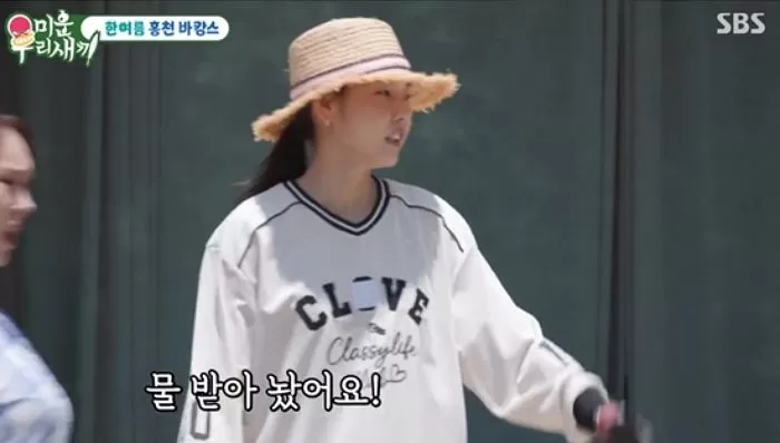 인사이트