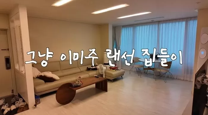 인사이트