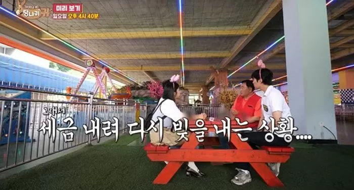 인사이트