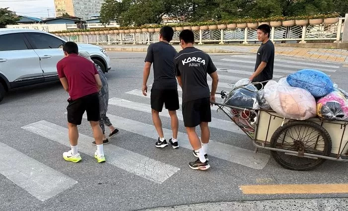 인사이트