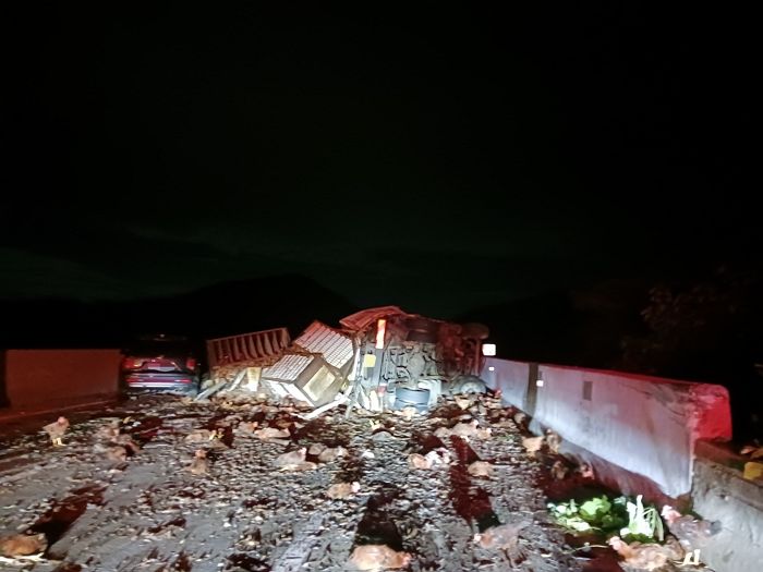 고속도로 달리던 화물차끼리 추돌사고... “닭 수십마리 쏟아졌어요”