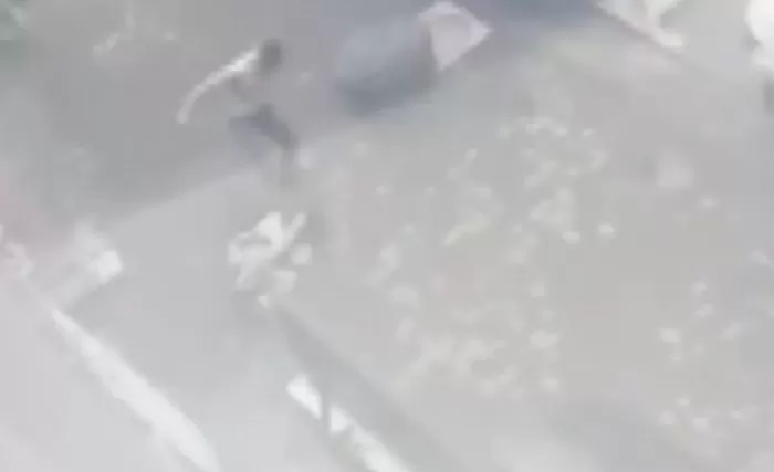 인사이트