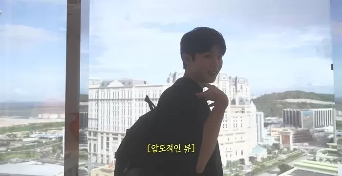 인사이트