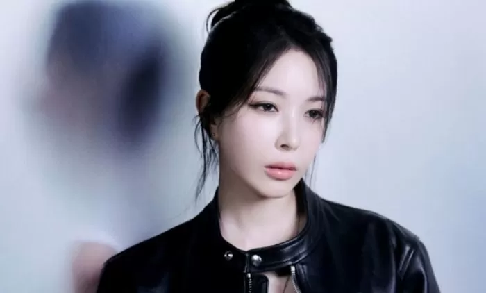 보아 / SM엔터테인먼트