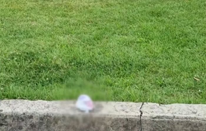 “바로 옆에 쓰레기통 있는데”... ‘국보’ 경복궁에 버려진 아기 ‘똥 기저귀’