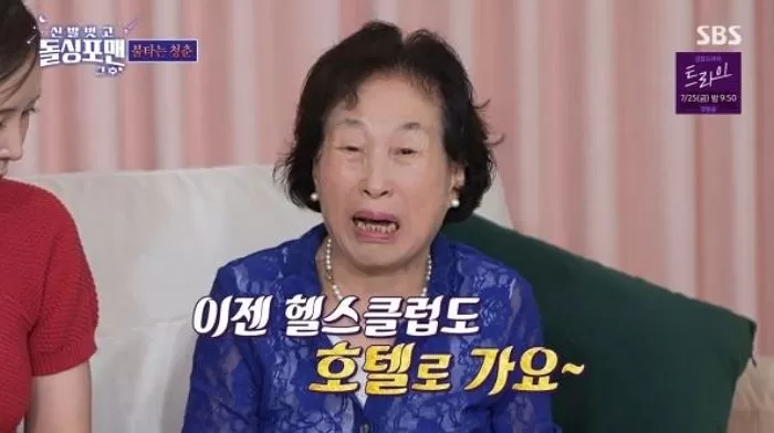 인사이트