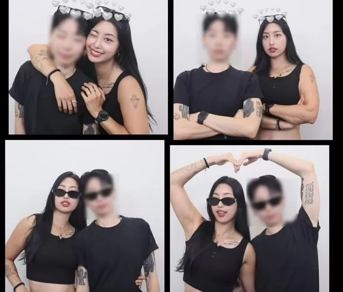 인사이트