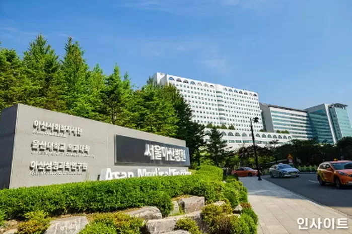 사진=인사이트 
