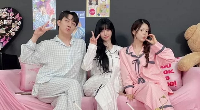 인사이트