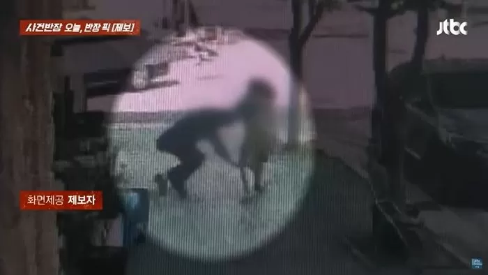 인사이트