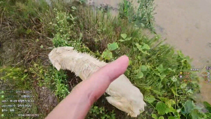 8662293101_2978469841_0fa841056c12897d732af40ac7c516d7.jpg
