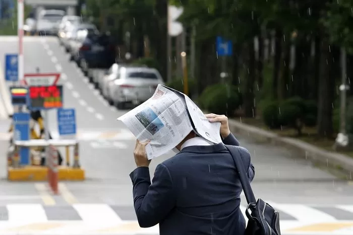 인사이트