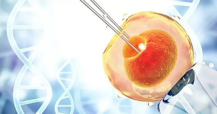 시험관 아기 ‘뉴노멀’ 됐다... 지난해 생성된 배아 78만개, 5년새 83% 증가