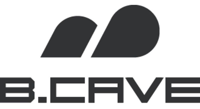 비케이브, 조직개편 단행... 글로벌 사업본부 신설로 해외 시장 정조준