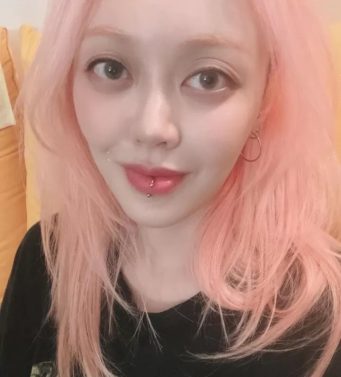인사이트