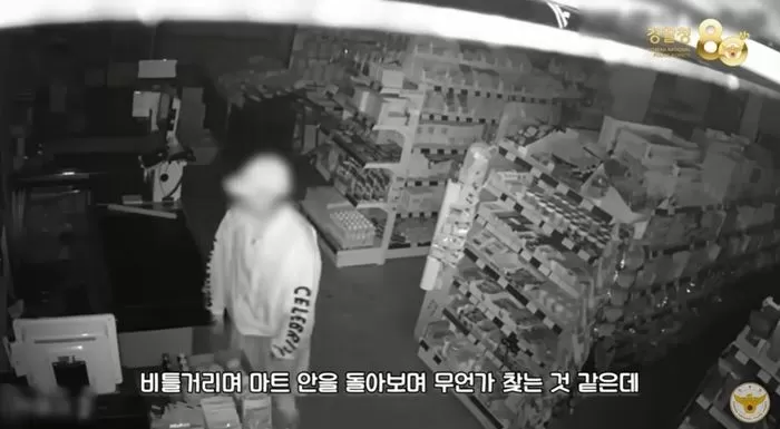 인사이트