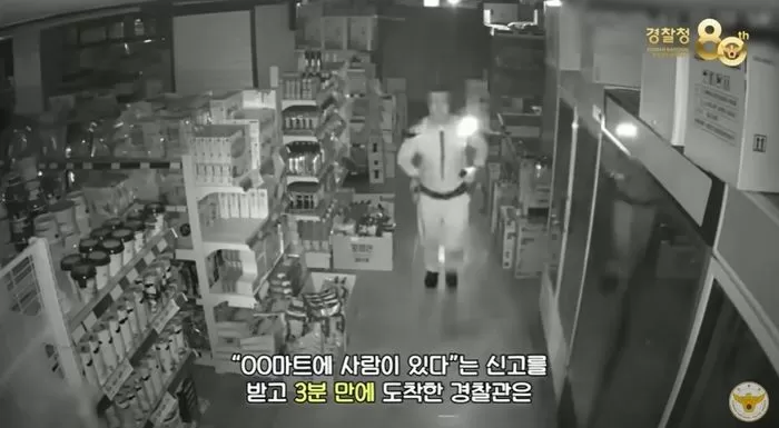 인사이트
