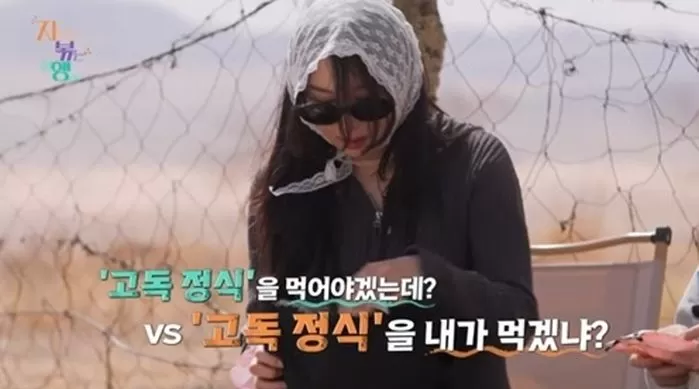 인사이트