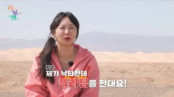 인사이트