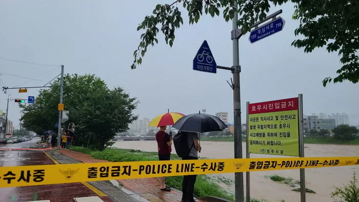 뉴스1