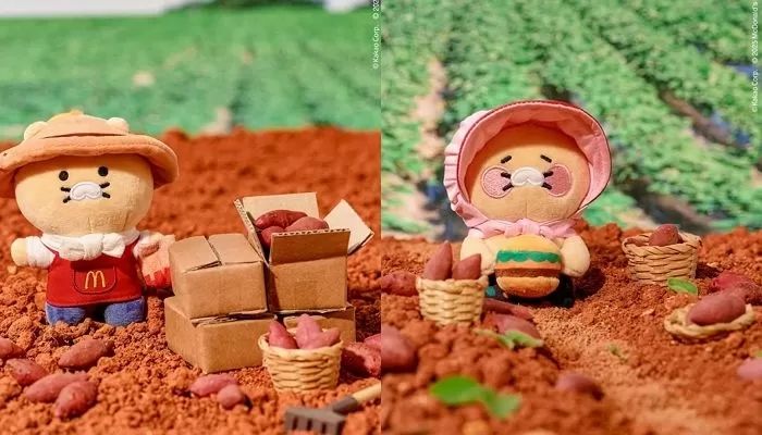 오늘(21일)은 라이언이 냥줍한 길냥이 ‘춘식이’의 다섯 번째 생일입니다