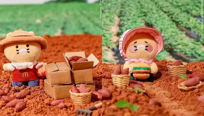 인사이트