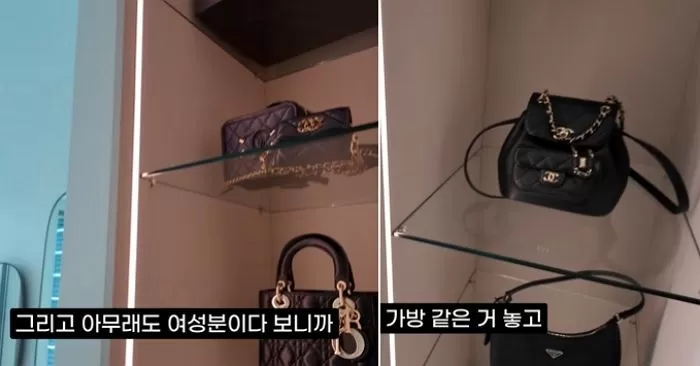 인사이트