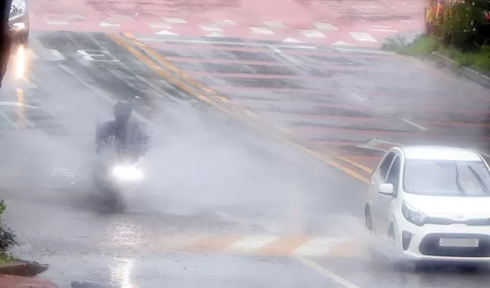 뉴스1