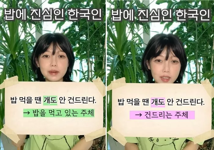 인사이트