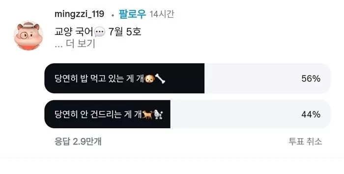 인사이트