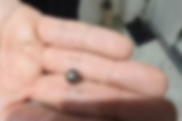 국과수, ‘송도 총격 사건’ 피해 아들 부검 결과 공개