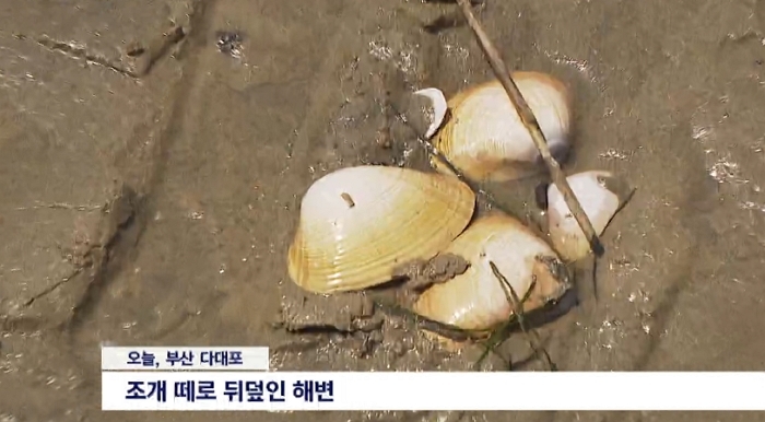 기존 이미지