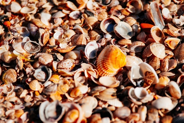 sea-1283168_1280.jpg