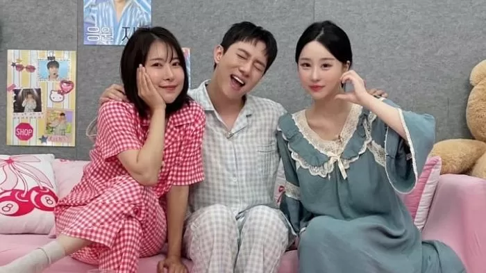 인사이트