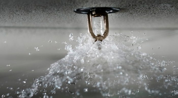 폭염에 천장 과열돼 스프링클러 마저 오작동... 콘서트 행사중 갑자기 ‘물벼락’