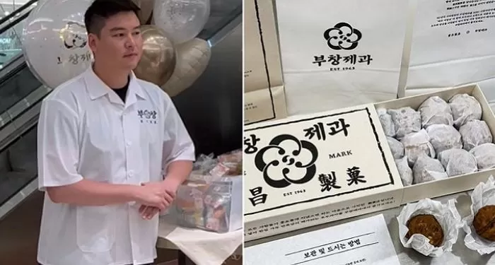 인사이트