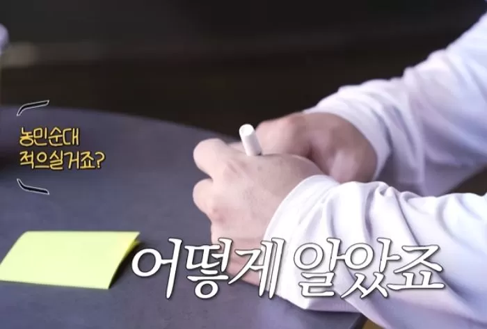인사이트
