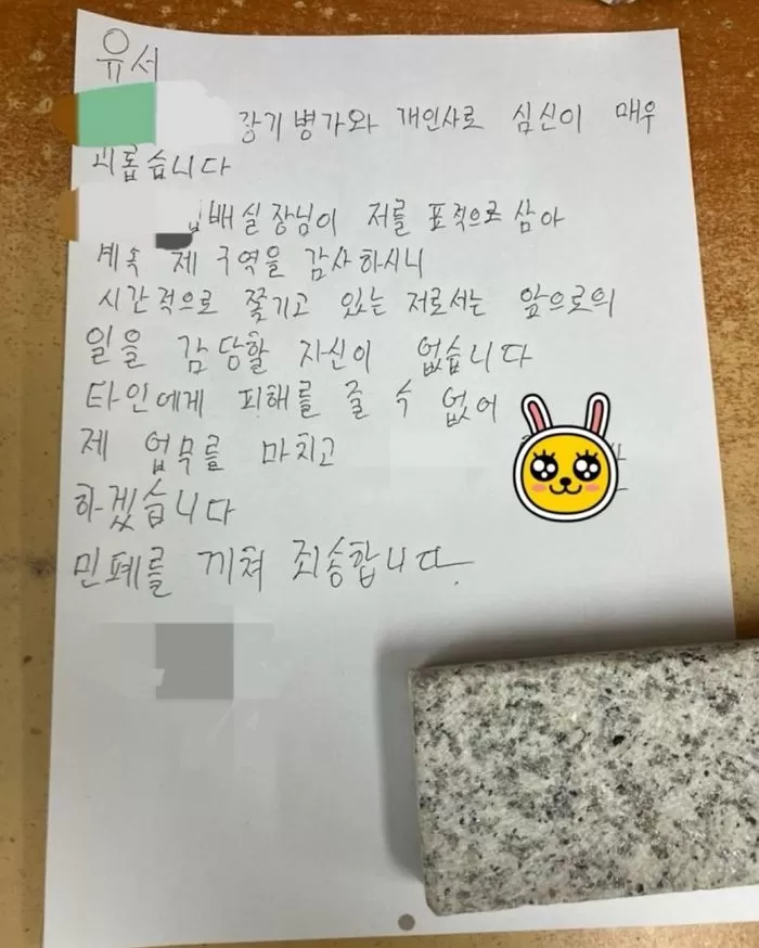 인사이트