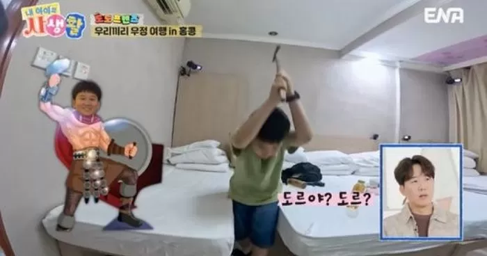 인사이트
