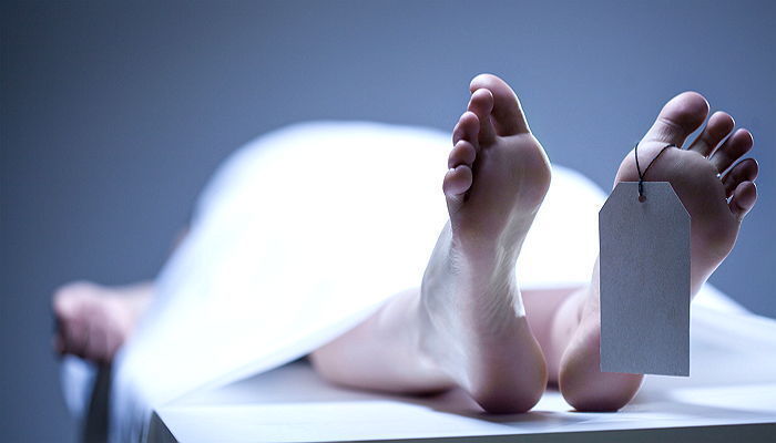 신종 코로나바이러스,코로나19,미국 확진자,시신보관소,코로나 사망자